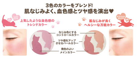 Cat ETTUSAIS Cheek Color Blush, 2,4 g