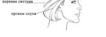 Magic Comb, S Heart S