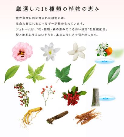 картинка KOSE Cosmeport Je l'aime Secret Des Fleurs Treatmen conditioning Balm for dry hair "Moisturizing - Secrets of flowers" магазин одежды и аксессуаров являющийся официальным дистрибьютором в России  KOSE Cosmeport Je l'aime Secret Des Fleurs Treatmen conditioning Balm for dry hair "Moisturizing - Secrets of flowers"