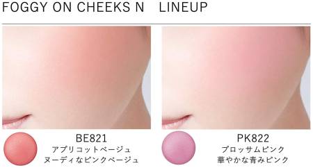 картинка Kose Visee Foggy On Cheeks Blusher, 5 g магазин одежды и аксессуаров являющийся официальным дистрибьютором в России  Kose Visee Foggy On Cheeks Blusher, 5 g