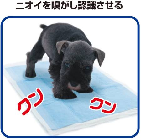 TAURUS Strong Toilet Discipline Spray, 100 ml