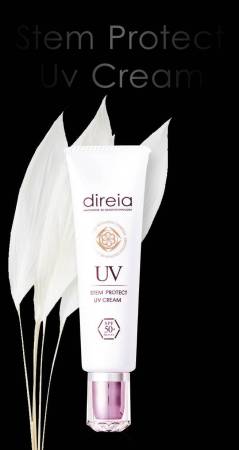 DIREIA Stem Protect UV Cream Day stem cell cream with sun protection SPF50 + / PA ++++, 35g