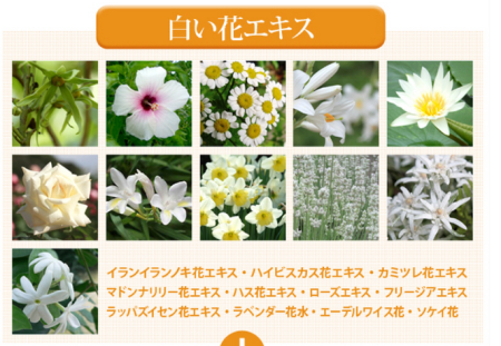 Japanese Skincare - Buy ONEC Whitetea Premium Serum Premium serum for face with whitening effect 30ml Online from Japan | 36Best Kawai ONEC Whitetea Premium Serum Premium serum for face with whitening effect 30ml