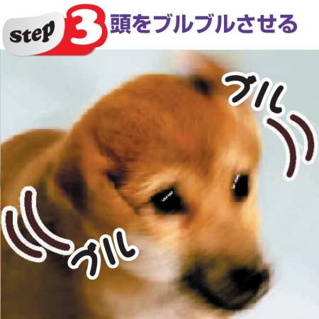 TAURUS Ear Year Pet Ear Cleaner, 50 ml