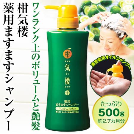 Kankirou Shampoo Treatment shampoo for hair and scalp care, 500g