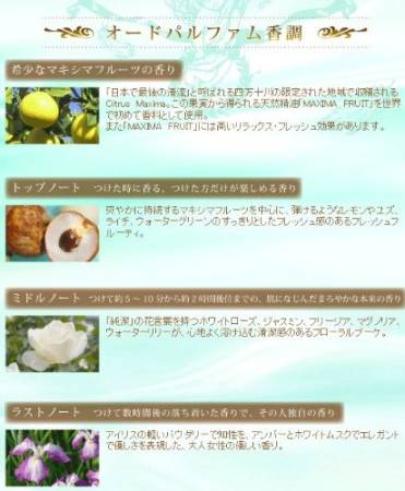 картинка Kanebo Milano Collection 2014 магазин одежды и аксессуаров являющийся официальным дистрибьютором в России  Kanebo Milano Collection 2014