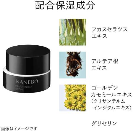 KANEBO Cream In Day SPF 20 / PA +++ Protective Day Cream, 40 g