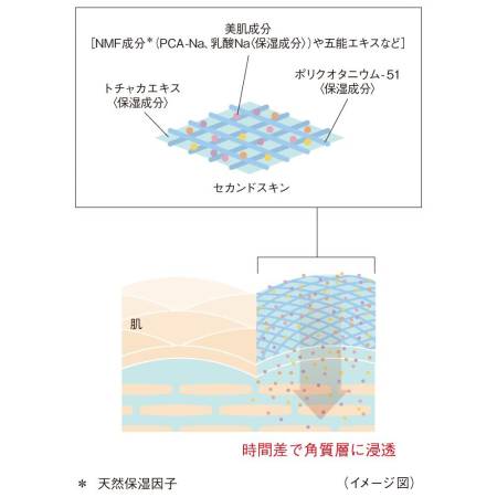 Japanese Skincare - Buy Koh Gen Do Oriental Plants Lotion II is a Lotion for dry skin Online from Japan | 36Best Kawai Koh Gen Do Oriental Plants Lotion II is a Lotion for dry skin