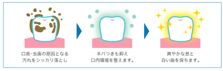 картинка Natural Oral Care Persimmon Plus toothpaste with persimmons, 150g магазин одежды и аксессуаров являющийся официальным дистрибьютором в России  Natural Oral Care Persimmon Plus toothpaste with persimmons, 150g