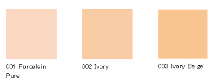 Addiction Skin Reflect Lasting UV Cushion Foundation Tonal base-a cushion with a reflective effect SPF 50+ PA++++, 12 g