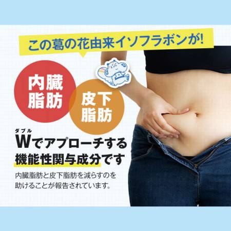 PILLBOX Onaka  Complex for weight loss and reduction of body fat, for 15 days