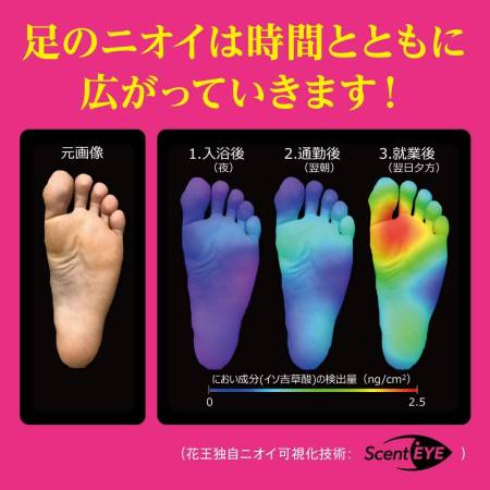 картинка KAO Biore Z Foot Cream-Deodorant, 50 g магазин одежды и аксессуаров являющийся официальным дистрибьютором в России  KAO Biore Z Foot Cream-Deodorant, 50 g