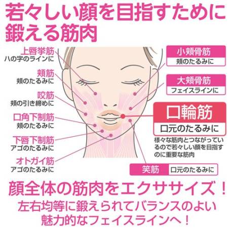 картинка Facial Lift Atonce Once Face Trainer Trainer for facelift магазин одежды и аксессуаров являющийся официальным дистрибьютором в России  Facial Lift Atonce Once Face Trainer Trainer for facelift