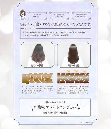 картинка KOSE Cosmeport Je l'aime FULVOS Bright & Moist Shampoo free shampoo for dry hair магазин одежды и аксессуаров являющийся официальным дистрибьютором в России  KOSE Cosmeport Je l'aime FULVOS Bright & Moist Shampoo free shampoo for dry hair