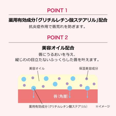 Shiseido MAQUILLAGE Dramatic Lip Treatment EX Caring base for lip makeup