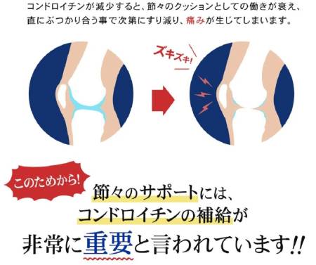 Seedcoms Chondroitin, for 3 month - Buy certified Japanese Health Supplements | 36Best Kawai Seedcoms Chondroitin, for 3 month