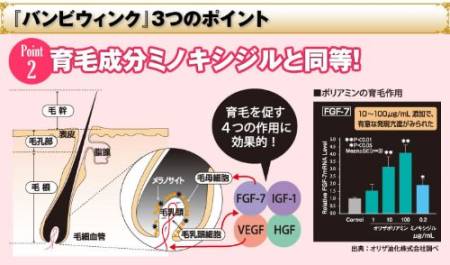 Matsuiku Bambi Wink Supplement for eyelash growth, 1 month