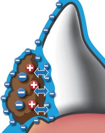 TAURUS Rakuya Toothpaste Liquid Pet Liquid Toothpaste for Pets, 100 ml