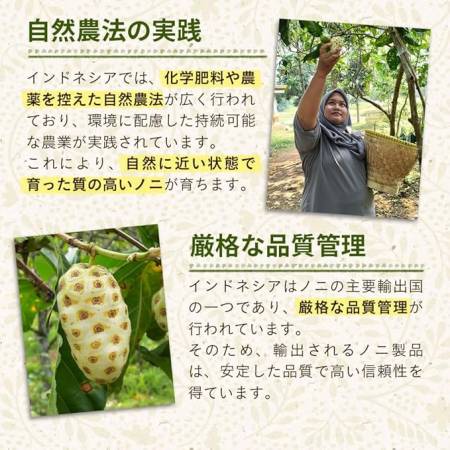 Seedcoms Noni capsule Noni extract