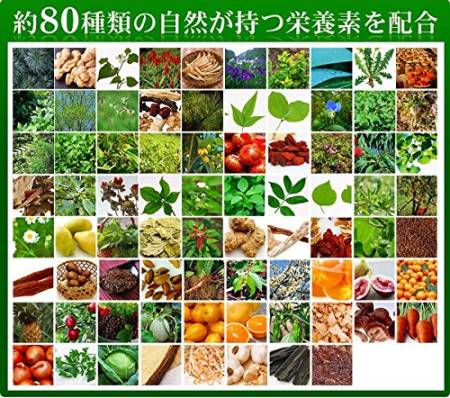 Seedcoms Wild Grass Enzyme for improving metabolism, body cleansing and weight loss, for 3 month