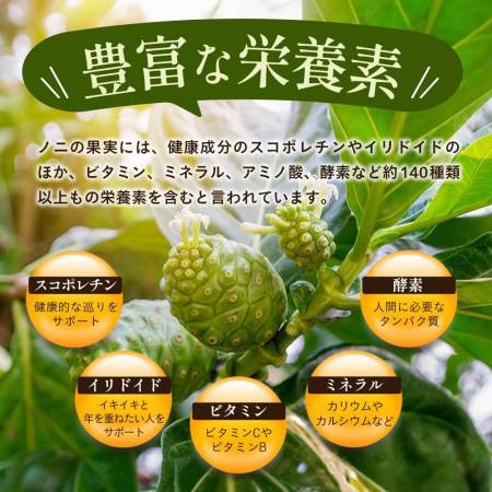 Seedcoms Noni capsule Noni extract
