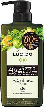 картинка MANDOM LUCIDO Deodorant Scalp Men's Shampoo deodorant with citrus aroma, 450 ml магазин одежды и аксессуаров являющийся официальным дистрибьютором в России  MANDOM LUCIDO Deodorant Scalp Men's Shampoo deodorant with citrus aroma, 450 ml