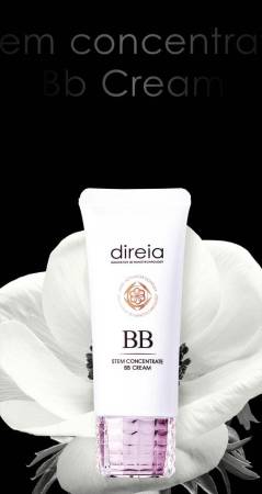 DIREIA Stem Concentrate BB Cream BB-cream with stem cells and with sun protection SPF 50 + / PA +++, 40g