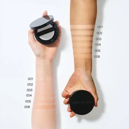 Addiction Skin Reflect Lasting UV Cushion Foundation Tonal base-a cushion with a reflective effect SPF 50+ PA++++, 12 g