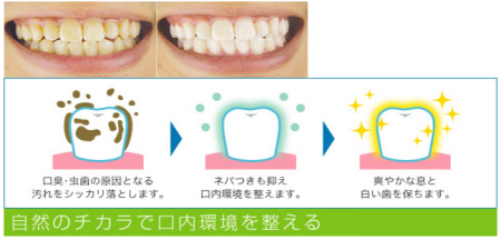 картинка Natural Oral Care AG Plus toothpaste, 150g магазин одежды и аксессуаров являющийся официальным дистрибьютором в России  Natural Oral Care AG Plus toothpaste, 150g