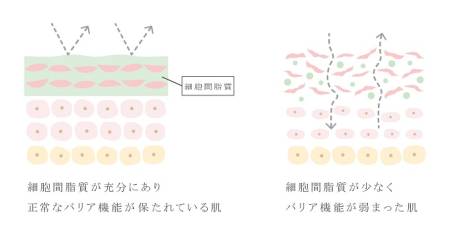 WHITE ICHIGO Organic Tech Cream Moisturizing Gel-Face Cream, 60 g