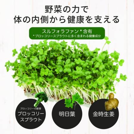 Seedcoms Broccoli Sprout for 3 months