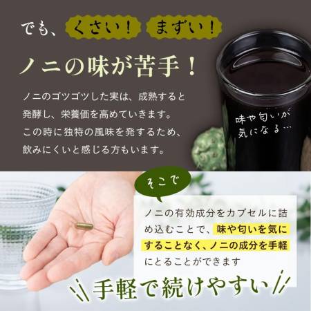 Seedcoms Noni capsule Noni extract