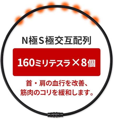 Colantotte Crest Smart Gold Necklace magnetic