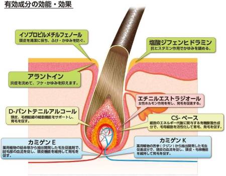 картинка MEDICATED KAMINOMOTO S II Tonic - hair conditioner, 180 ml магазин одежды и аксессуаров являющийся официальным дистрибьютором в России  MEDICATED KAMINOMOTO S II Tonic - hair conditioner, 180 ml