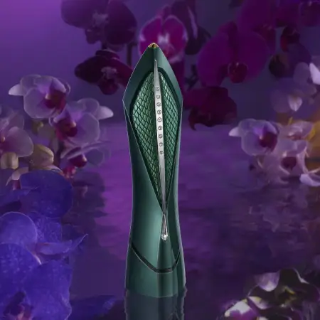 ARTISTIC&CO The Vzusa I Care A gadget for professional skin care for the face, neck and eye area