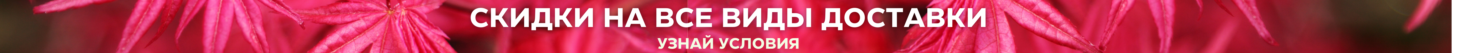Акция на все виды доставок Акция на все виды доставок